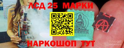 гашик Можга