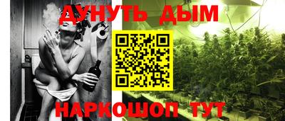 гашик Можга