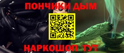 гашик Можга