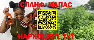 гашик Можга