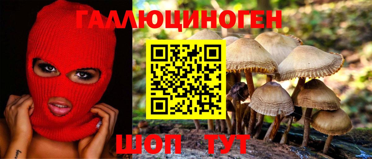 Галлюциногенные грибы мицелий Тамбов